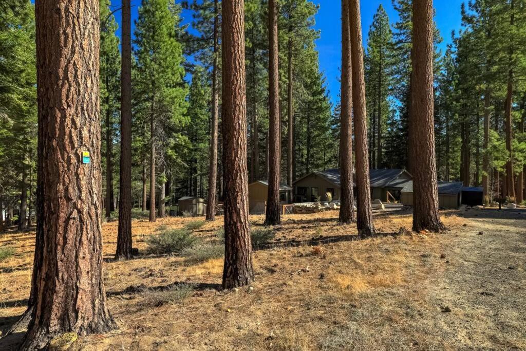 Mountain Pine Memories - Dogs - Hot Tub - E-Bikes Villa South Lake Tahoe Exterior photo